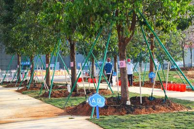 美麗校園,攜手共建,南沙舉辦義務(wù)植樹活動