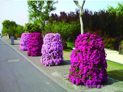 造景花園 立體綠化垂直綠化