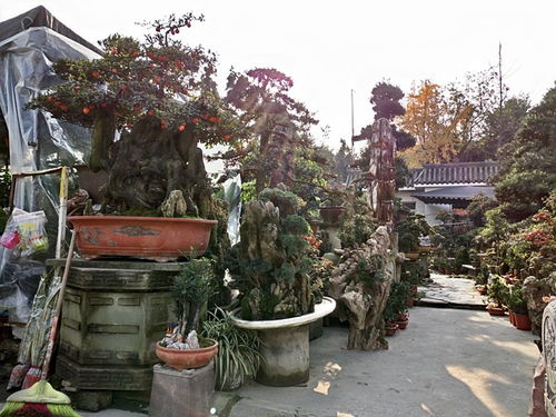 成都市光和園林藝術(shù)有限責(zé)任公司專業(yè)從事園林綠化的設(shè)計施工