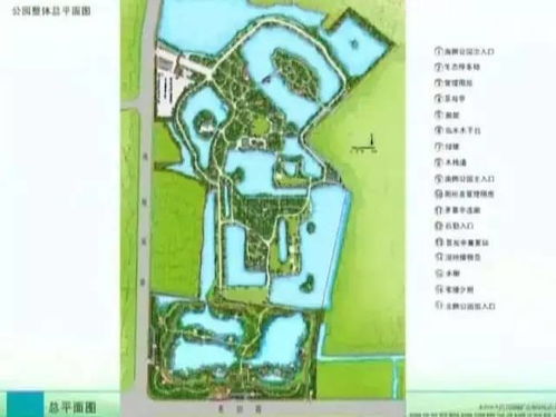 人民公園南拓景觀綠化工程 提速推進建設 打造園林精品