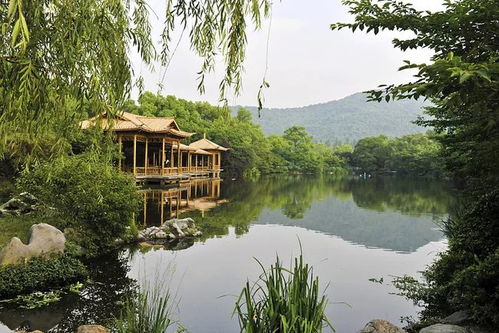 講解園林綠化工程中植物處理問題