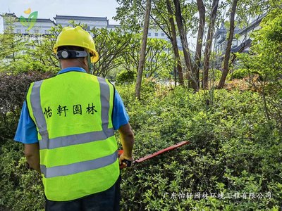 怡軒園林綠化公司為惠州綠色動力提供高質量的廠區綠化養護服務