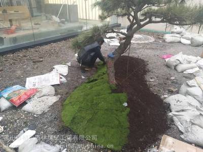 初見園林擁有別墅園林施工精湛隊伍