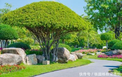 淺談園林綠化工程投標施工圖預算