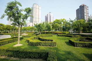 欣周洋園林綠化供應具有口碑的園林綠化 集美園林綠化