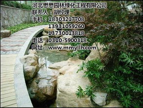 園林綠化價(jià)格 河北園林綠化 懋懋園林綠化 查看