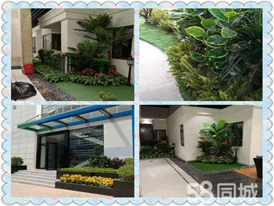 租花花卉租售 綠植租擺 工廠綠化 庭院綠化 園林工程