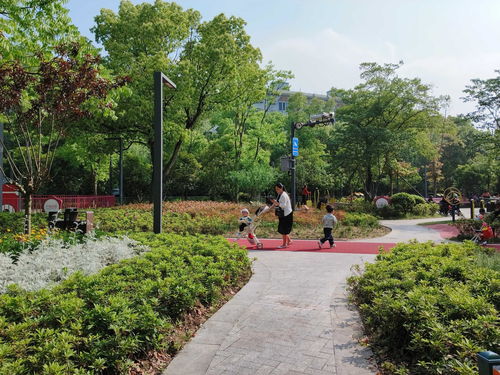 改造綠化1.7萬余㎡,新建兒童游樂場和健身步道 這個街區(qū)景觀改造完成