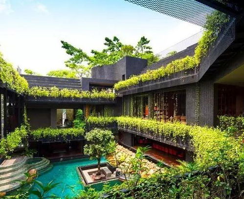 經驗豐富 通林景觀 圖 園林養護管理 滁州園林養護