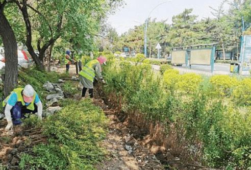 焦作市將建設(shè)游園15處,詳細(xì)地址公布,已經(jīng)開始施工了