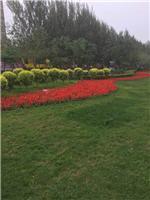黑龍江綠化工程相關(guān)地區(qū)