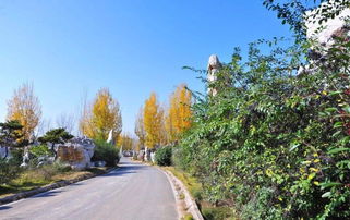 資質(zhì)取消后,如何保證園林綠化工程質(zhì)量