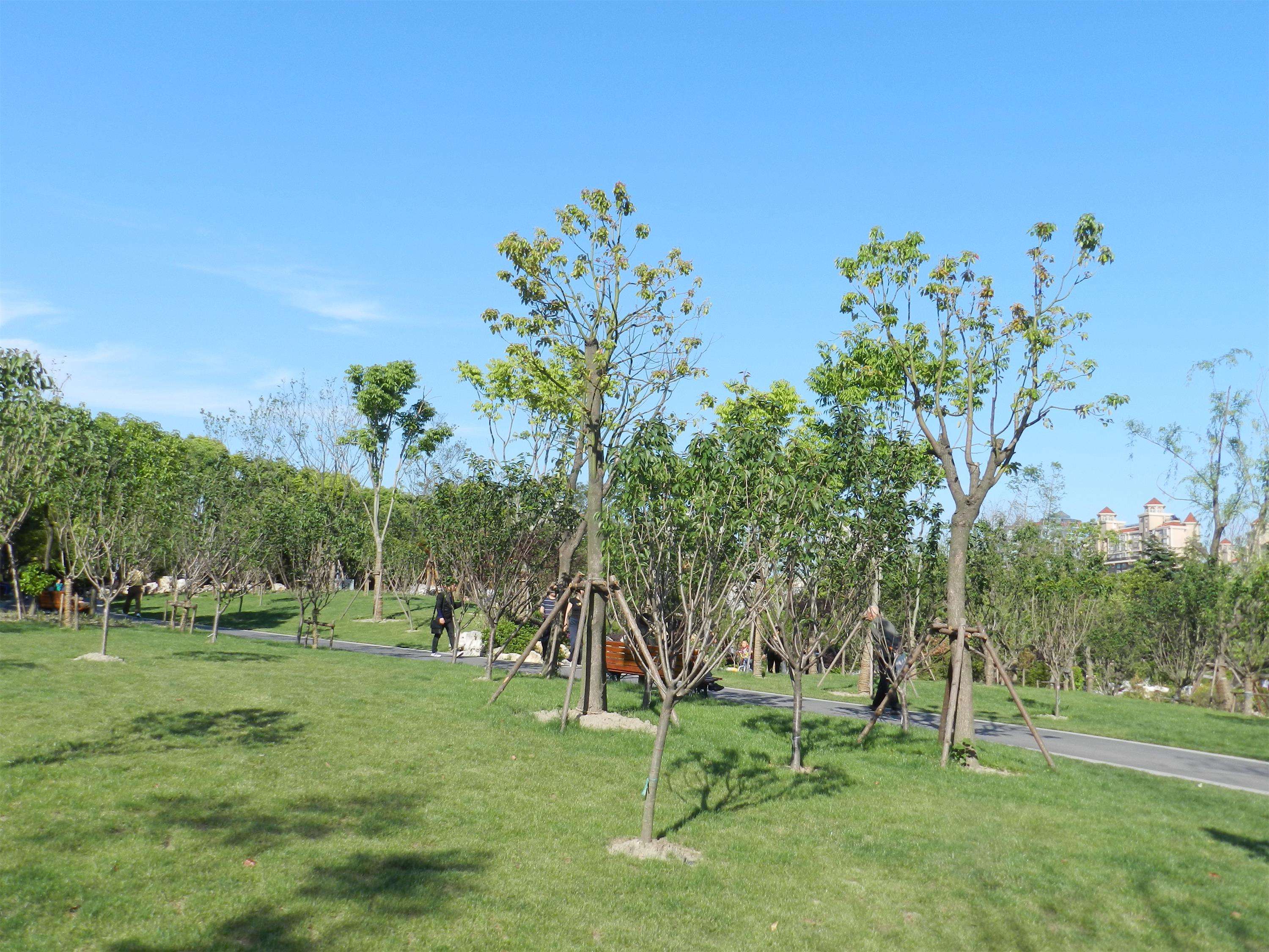 豐臺區(qū)2019年平原重點區(qū)域造林綠化工程勘察招標(biāo)公告