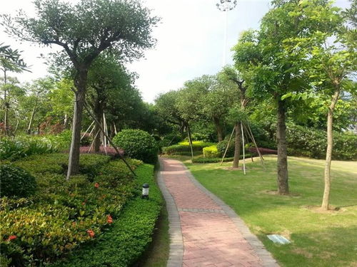 園林養護手冊 中藝源 在線咨詢 園林養護高清圖片 高清大圖